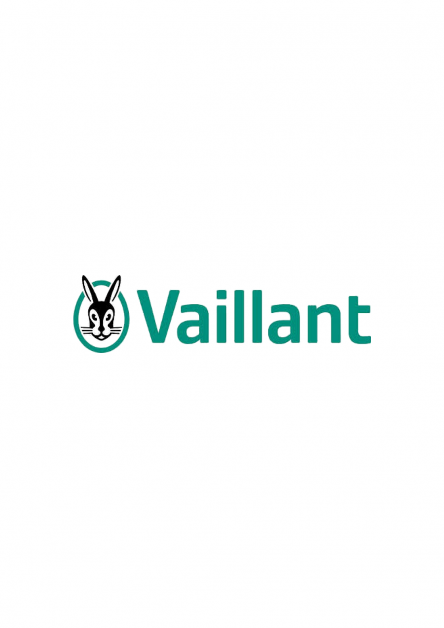 Vaillant Vaillant